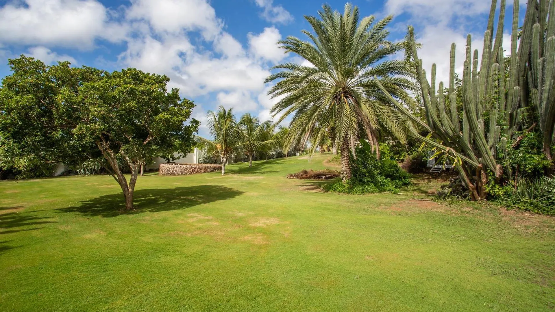 Jan Thiel A Beautiful Villa Curacao With Large Pool And Tropical Garden קוראסאו